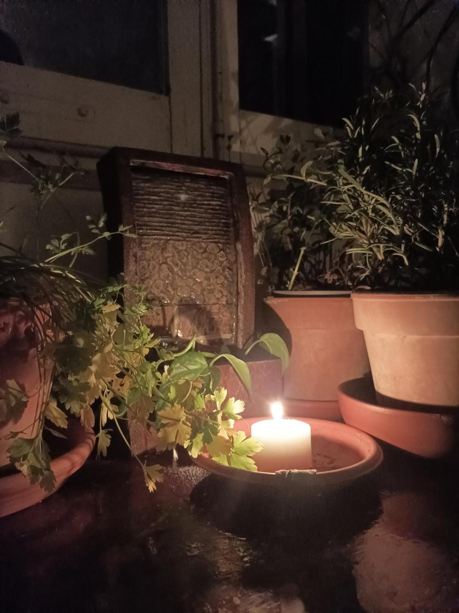 Boh & Boh A Casa Di Luca And His Cats Apartment เปรูจา ภายนอก รูปภาพ