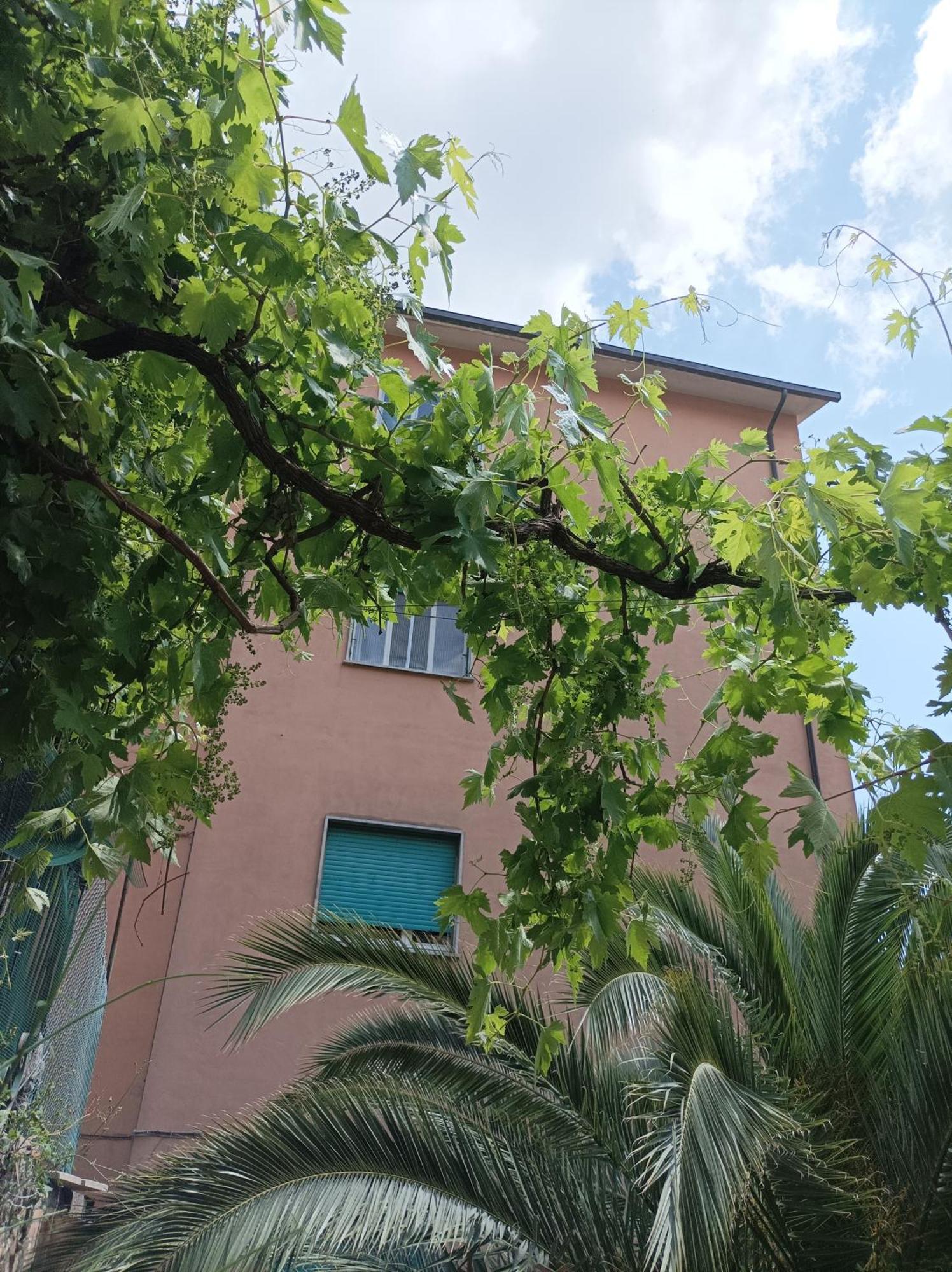 Boh & Boh A Casa Di Luca And His Cats Apartment เปรูจา ภายนอก รูปภาพ
